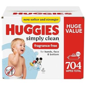 Huggies Simply Clean Unscented Baby Diaper Wipes