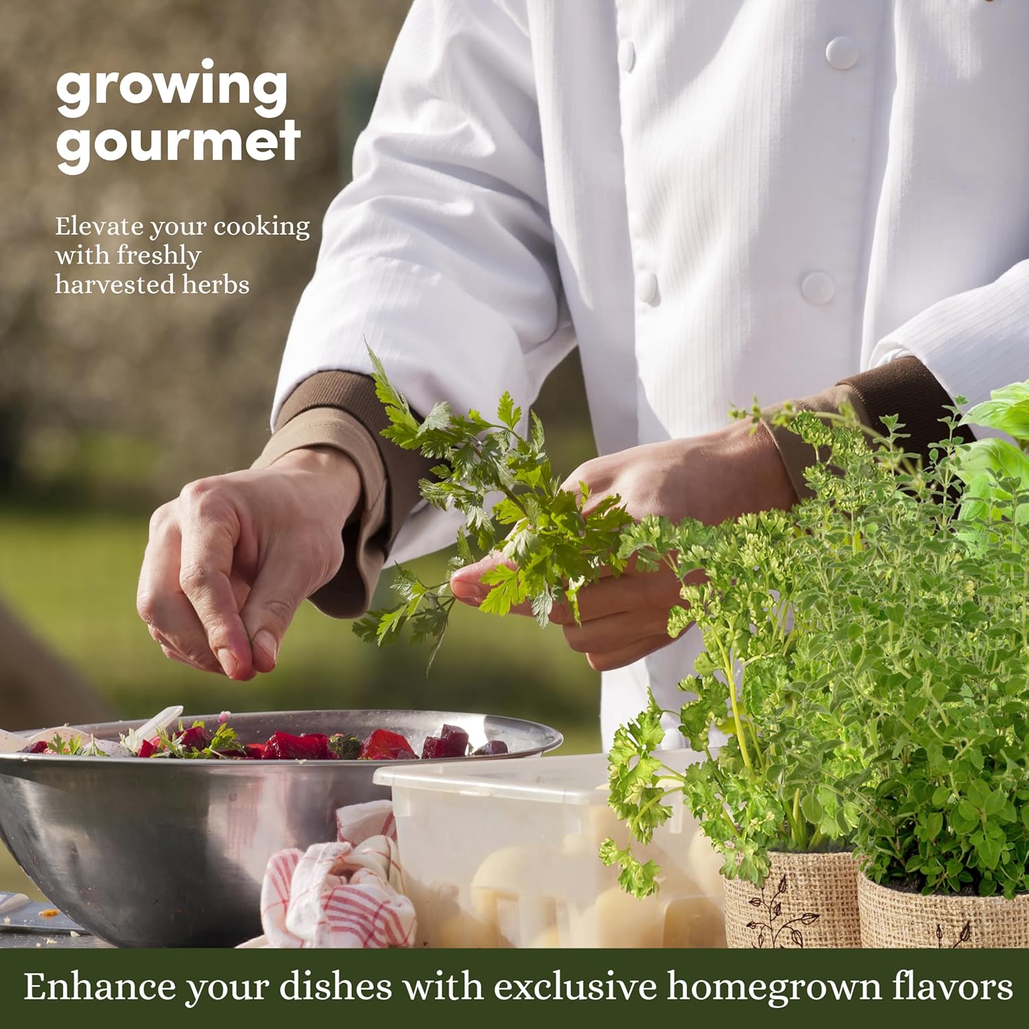 9 Herb Indoor Window Garden Kit - House Plants Seeds - Image 4