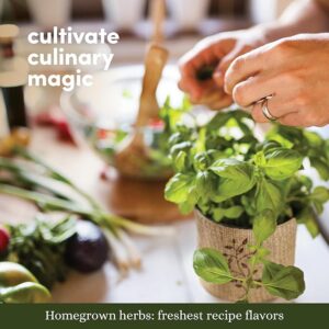 9 Herb Indoor Window Garden Kit - House Plants Seeds